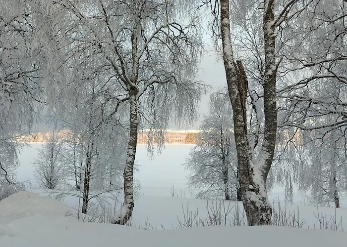 Semesterbostad Aurora Riverside
